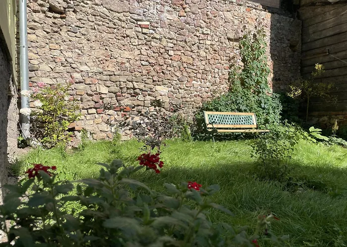 Exquisite & Steps To Center 1br With Free Parking Apartment