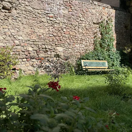 Exquisite & Steps To Center 1br With Free Parking Lägenhet